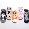 Kit com 5 Pares de Meia Desenho de Gatinho - Cano Médio Feminino
