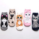 Kit com 5 Pares de Meia Desenho de Gatinho - Cano Médio Feminino