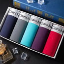 🛍️ Cueca Boxer Masculina Clássica – Kit com 5 Unidades 🛍️