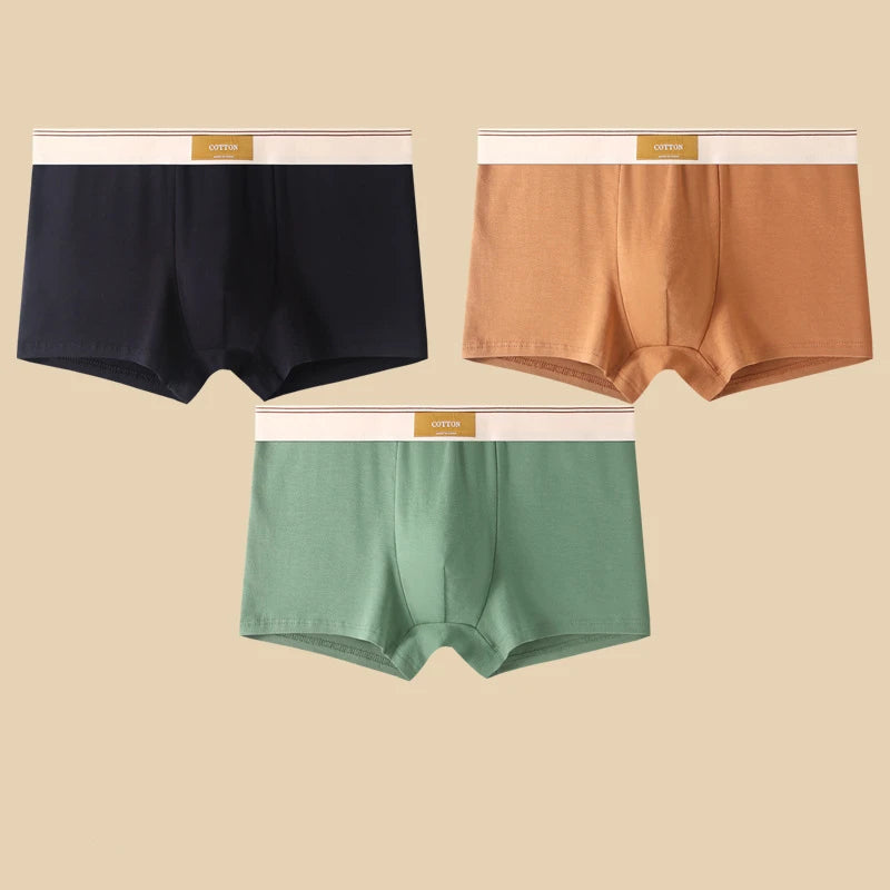 🛍️ Cueca Boxer Masculina em Algodão – Kit com 3 Unidades 🛍️