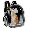 Mochila Cápsula Transparente para Pets – Estilo, Conforto e Segurança no Passeio!