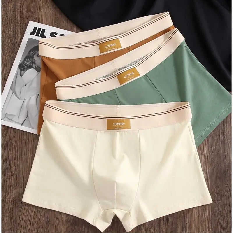 🛍️ Cueca Boxer Masculina em Algodão – Kit com 3 Unidades 🛍️