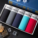 🛍️ Cueca Boxer Masculina Clássica – Kit com 5 Unidades 🛍️