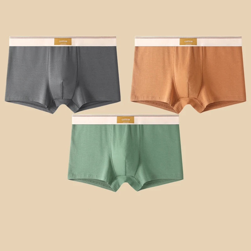 🛍️ Cueca Boxer Masculina em Algodão – Kit com 3 Unidades 🛍️