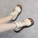 Sandália Feminina Roman Style 2025 – Conforto e Estilo Atemporal